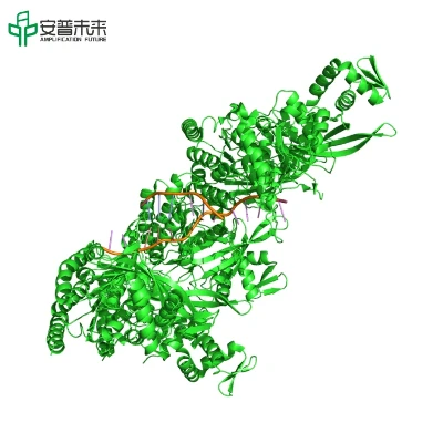 Transcriptase inverse M MLV